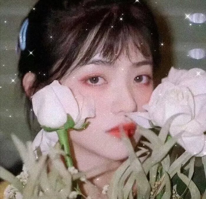 生命里的直中基